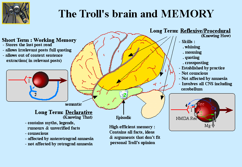 trolls-brain-and-memory.gif