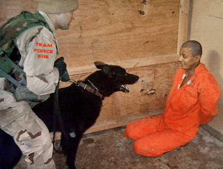 dog_facing_Iraqi_prisoner-prison_ab.gif
