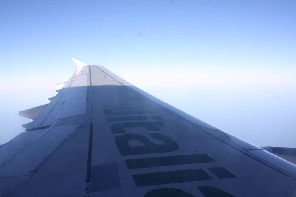 IMG_1564.jpg