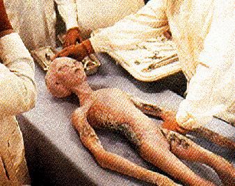Area 51