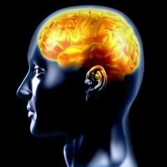 Brain graphic (c) ScoopIrish brain gives orders