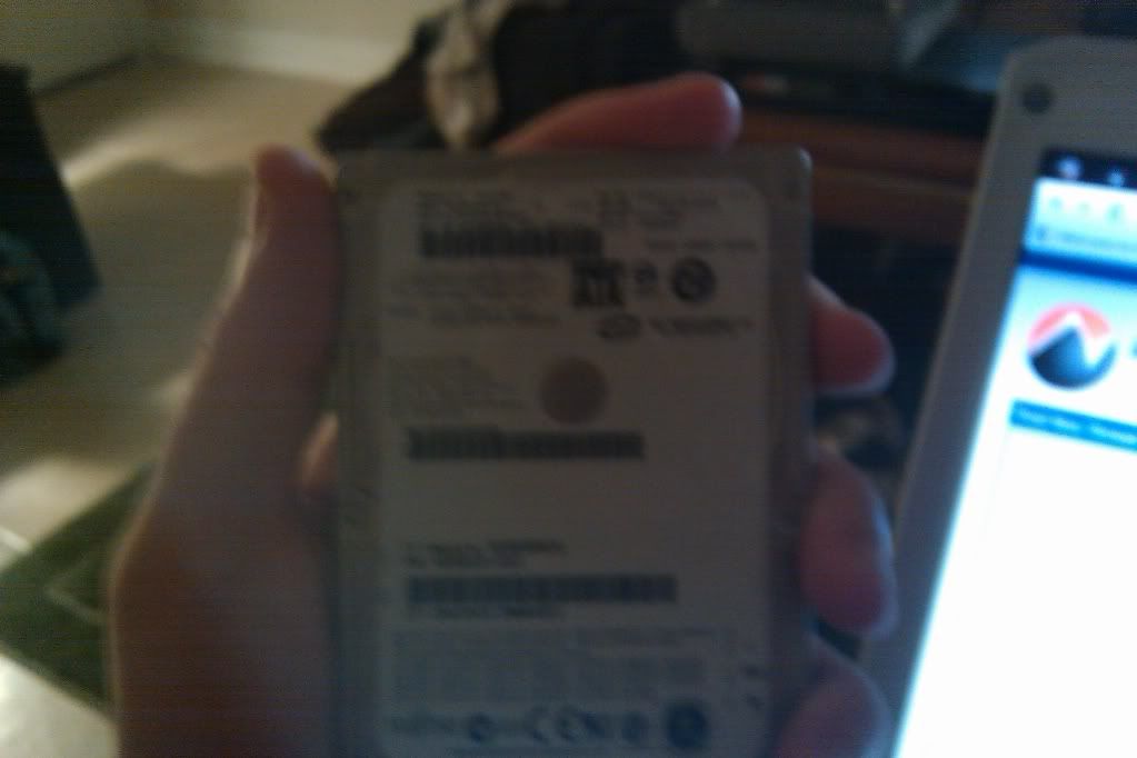 IMAG0033.jpg