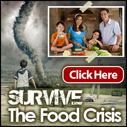 AD DESCRIPTION