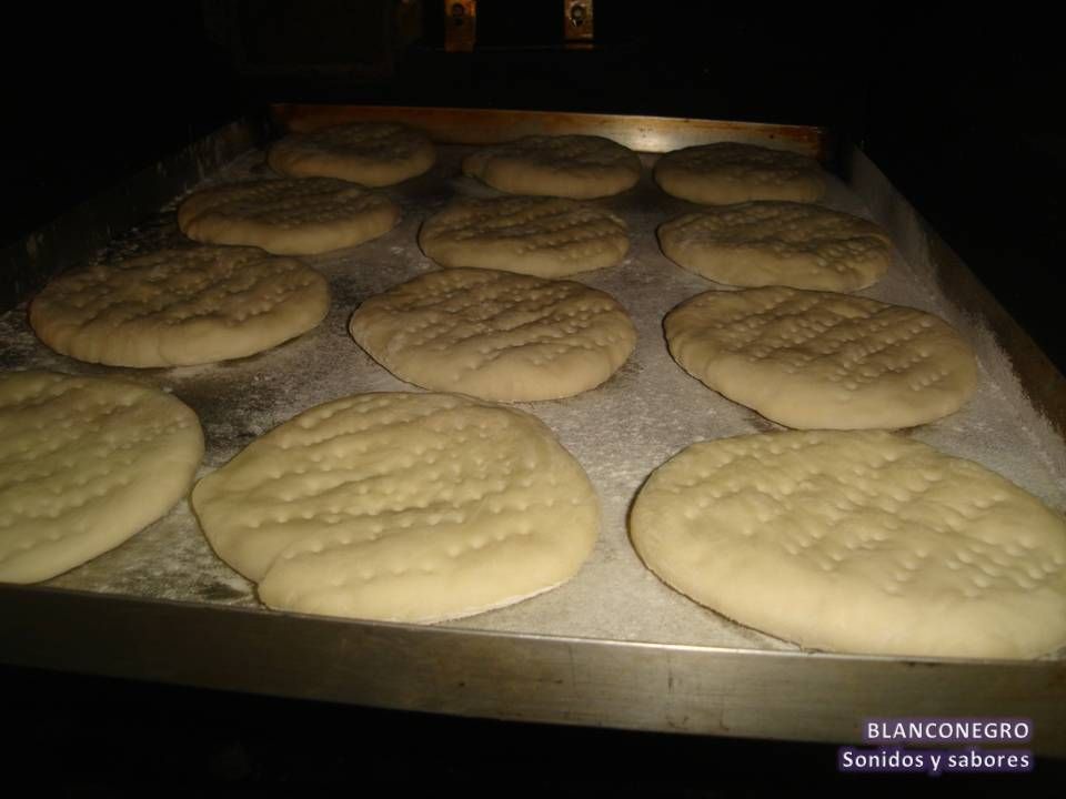 semitas semitas
