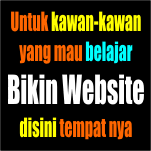 bikinwebsite1