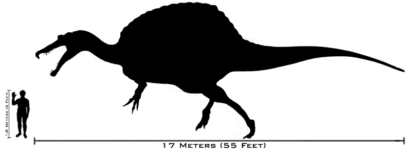 Human-spinosaurus_size_comparison.png~original