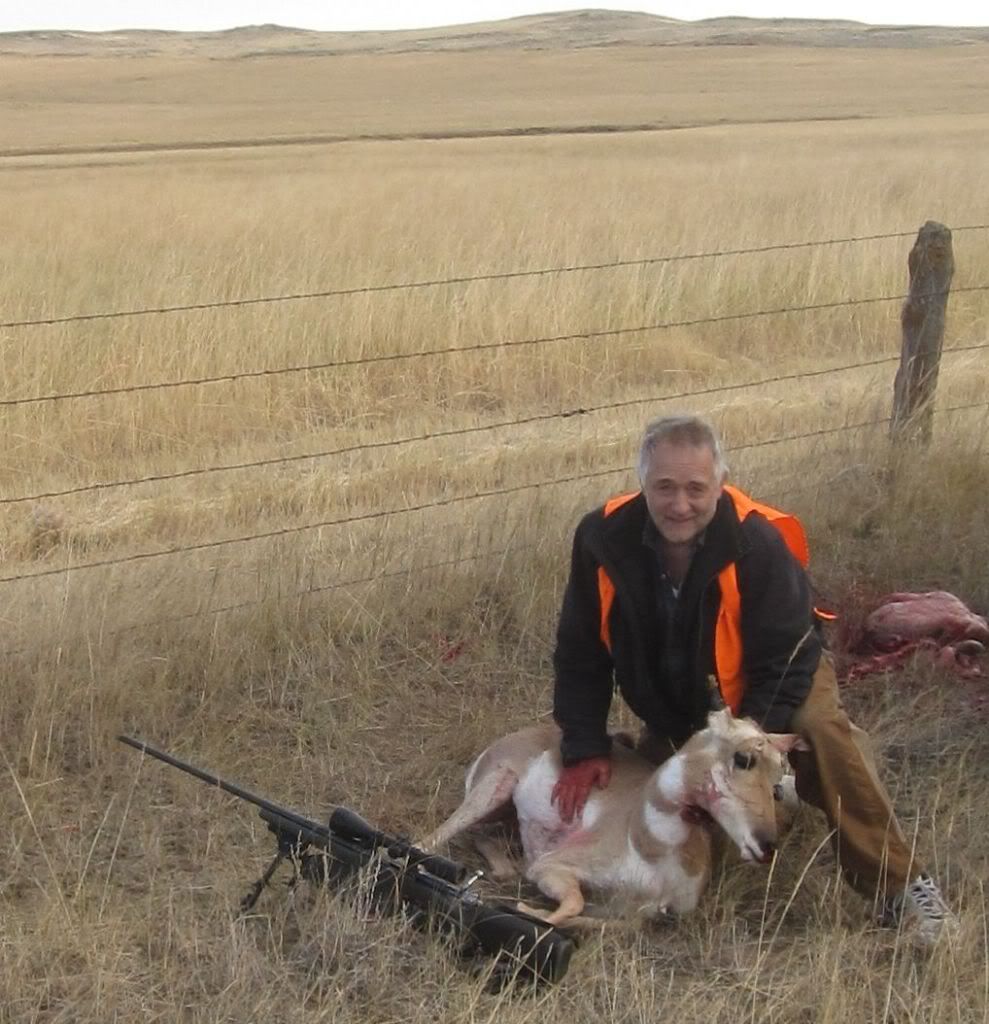 Antelope2011Montanac.jpg