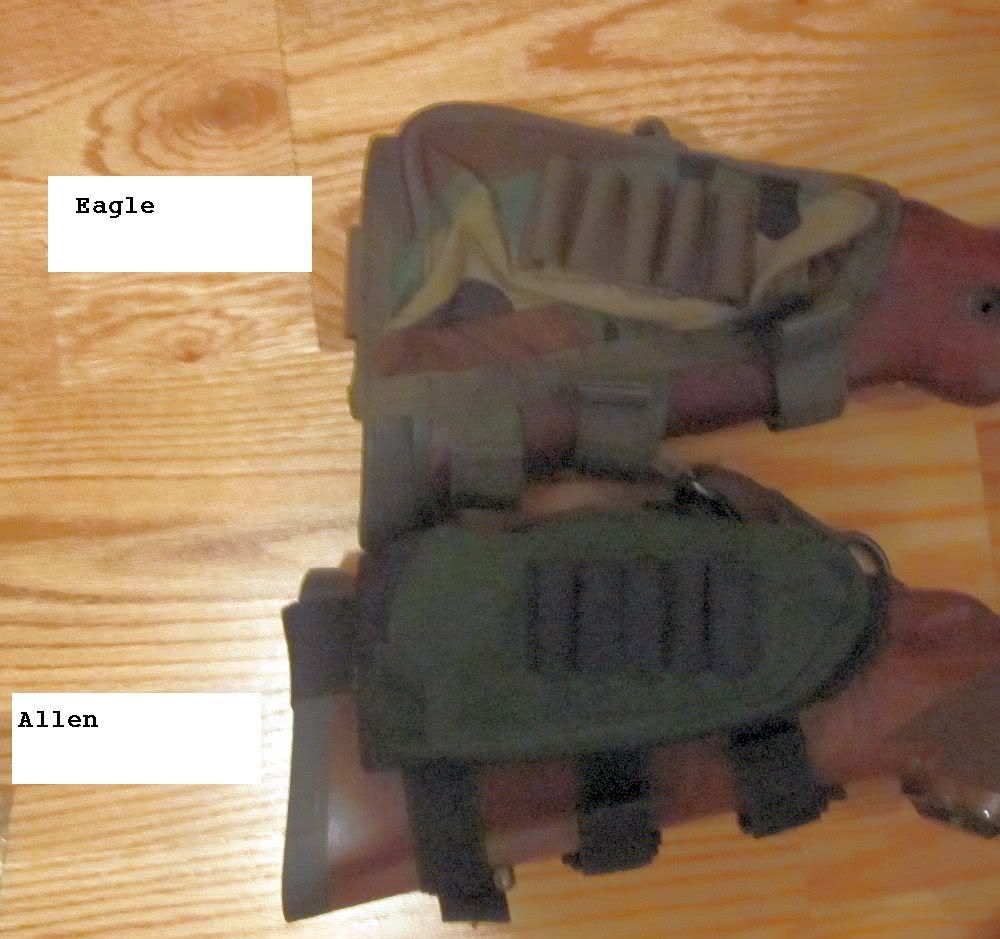 EaglebagvsAllenbagb10-1-2011.jpg