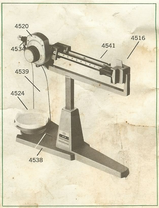 Ohaus310.jpg