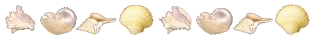 seashelldivider3.gif picture by Pakistan_My_Quest