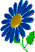 Blume103.gif picture by Pakistan_My_Quest