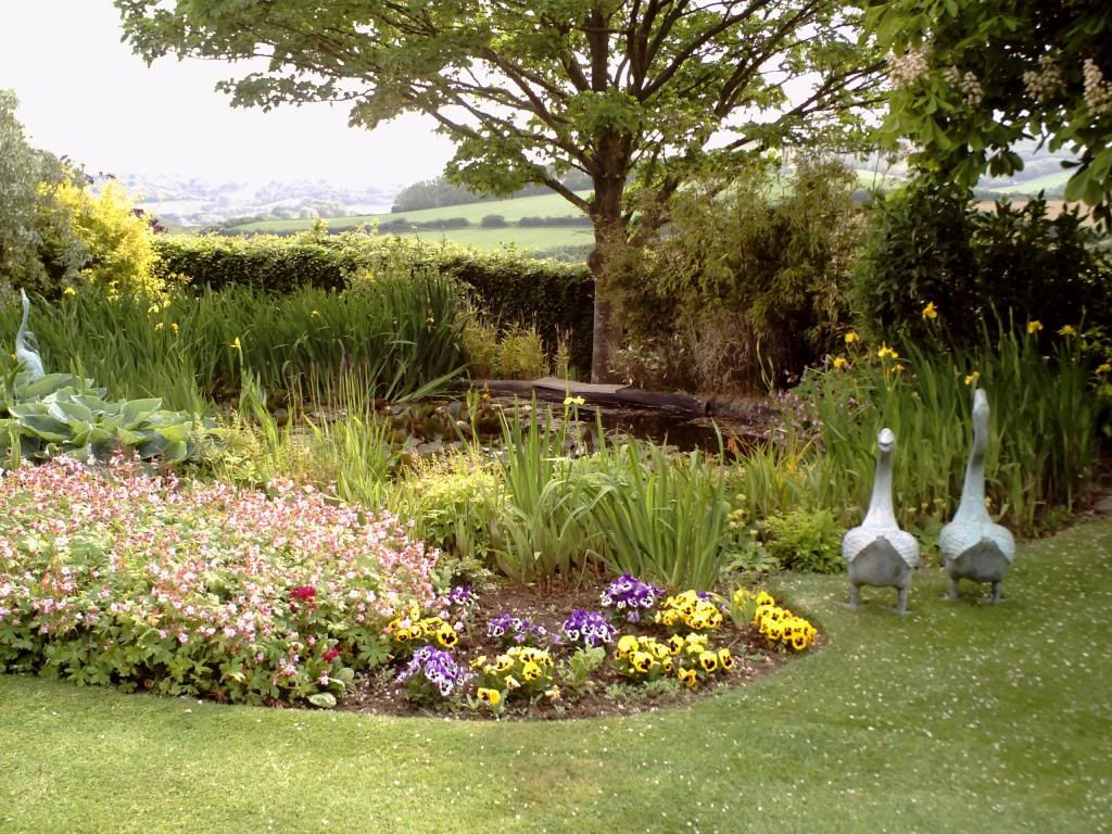 handysgarden3.jpg