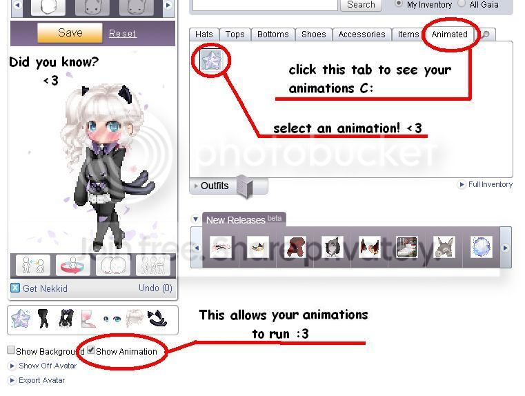 User Image