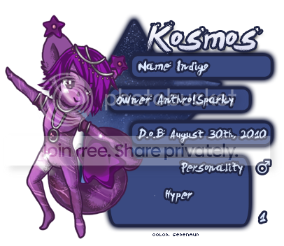 User Image